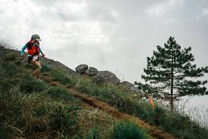 BIB: 
                            <button type="button" onclick="openModal(25996549)" class="btn btn-primary btn-sm float-right btn-popup" data-toggle="modal" data-target=".modal-high-quality">
                        <i class="fas fa-shopping-cart"></i> Add to Cart
                    </button>
                                            <button type="button" onclick="isThisMe(25996549, true)" class="btn btn-success btn-sm float-right btn-popup btn-isme hidden" data-toggle="tooltip" data-placement="bottom" title="นี่คือรูปของคุณใช่ไหม คลิกที่นี่เพื่อเอาเข้าอัลบั้ม">
                        <i class="fas fa-plus"></i> Add to album
                    </button>
                    <button type="button" onclick="isThisMe(25996549, false)" class="btn btn-warning btn-sm float-right btn-popup btn-isnotme hidden">
                        <i class="fas fa-ban"></i> Remove from album
                    </button>